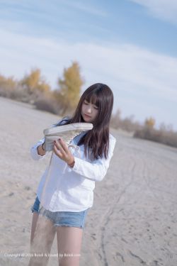 精灵宝可梦xy2