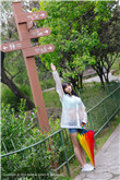 春闺梦里人电视剧